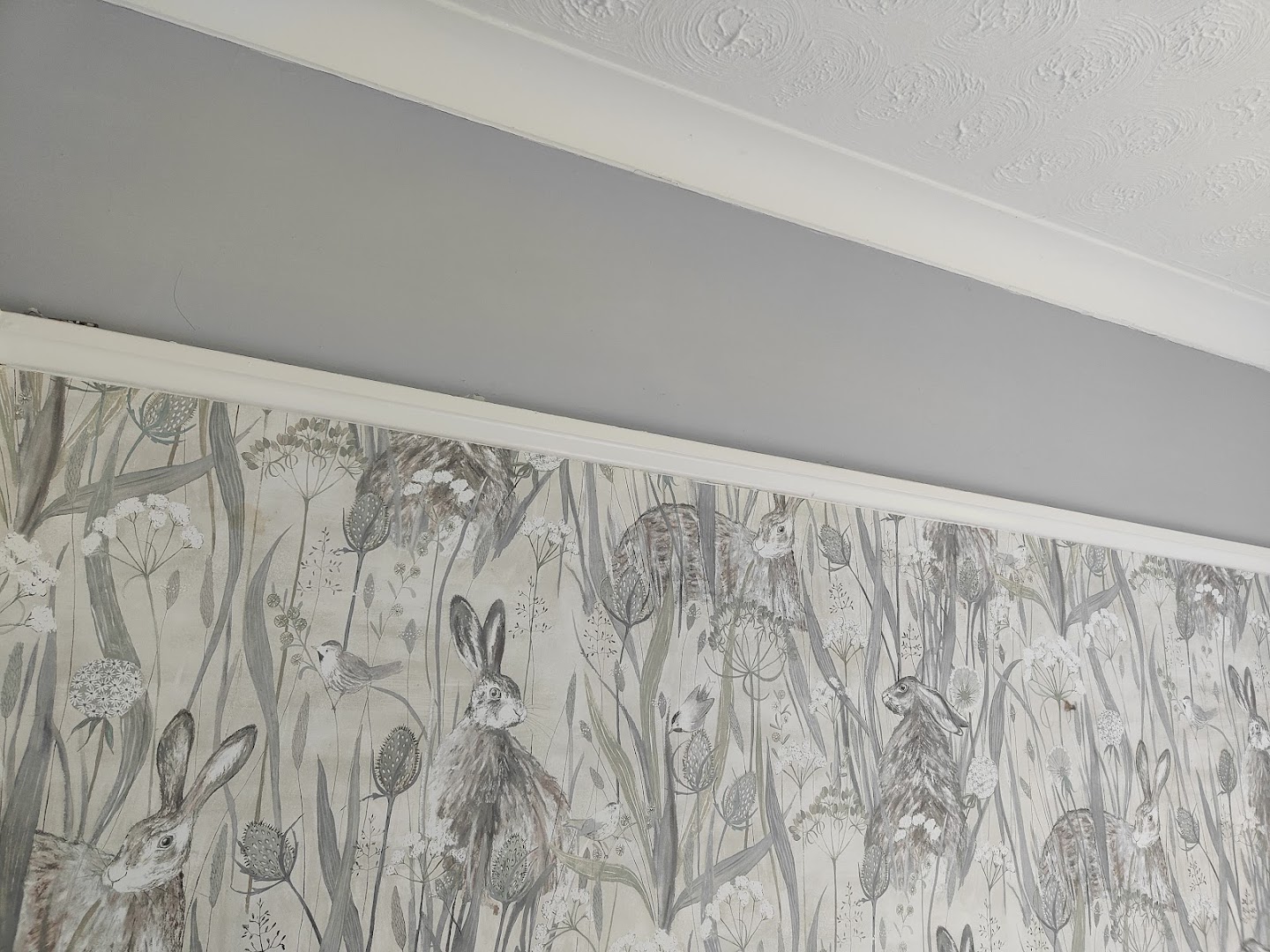 Ian Clinch Painter & Decorator — Photos 2